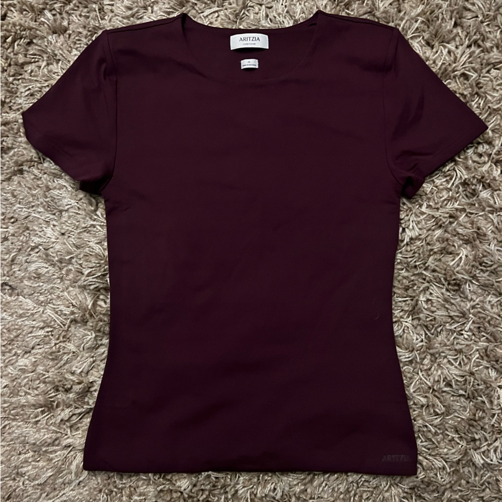 Aritzia Men’s Short Sleeve Crew in Deep Burgundy